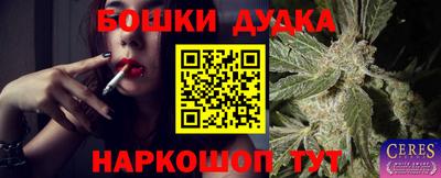 трава Гатчина