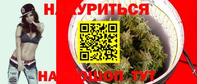 трава Гатчина