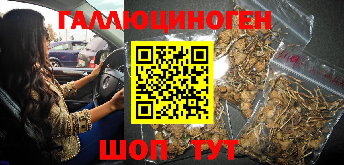 Галлюциногенные грибы Cubensis  Вход с VPN  Саранск 