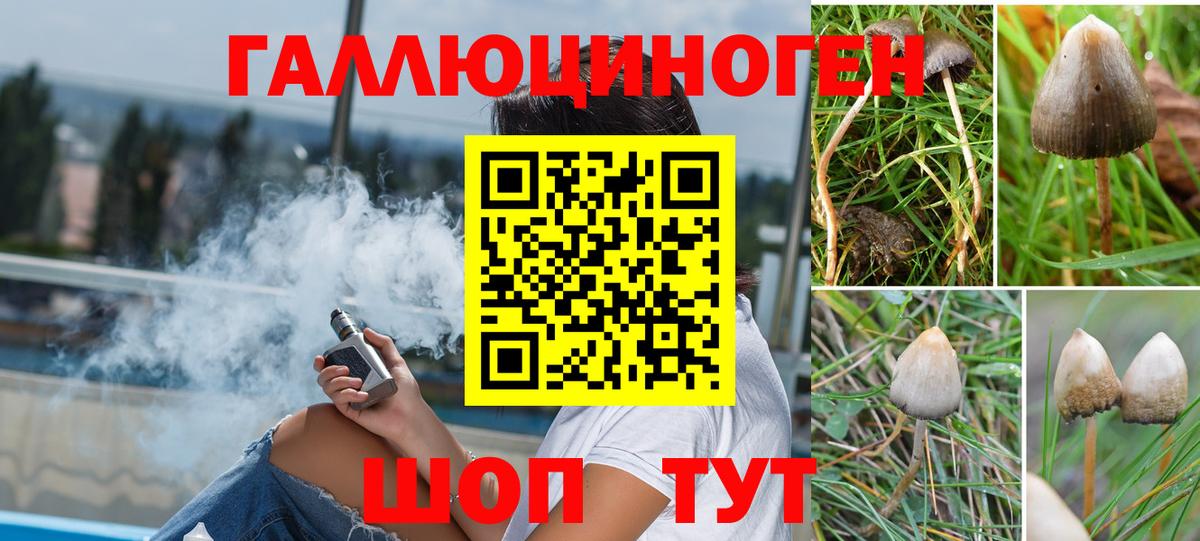Псилоцибиновые грибы мухоморы Саранск